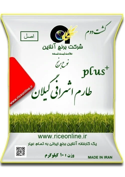 برنج طارم اشرافی گیلان کشت دوم پلاس 10 کیلوگرم برنج آنلاین