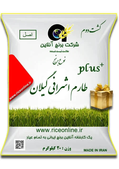 برنج طارم اشرافی گیلان کشت دوم پلاس 20 کیلوگرم برنج آنلاین